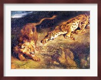 Tiger and Lion Fine Art Print