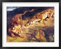 Tiger and Lion Fine Art Print