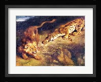 Tiger and Lion Fine Art Print