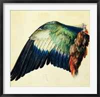 Wing of a Blue Roller, 1512 Fine Art Print