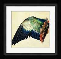 Wing of a Blue Roller, 1512 Fine Art Print