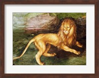 Lion Fine Art Print