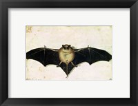 Bat, 1522 Fine Art Print