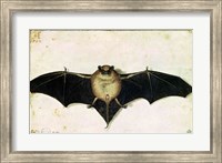 Bat, 1522 Fine Art Print