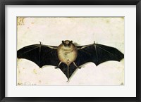 Bat, 1522 Fine Art Print