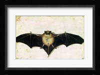 Bat, 1522 Fine Art Print