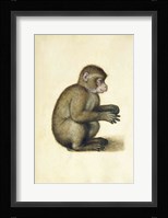 A Monkey Fine Art Print