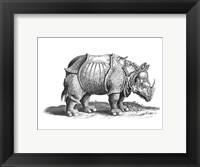 Rhinoceros Fine Art Print