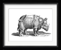 Rhinoceros Fine Art Print