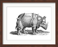 Rhinoceros Fine Art Print