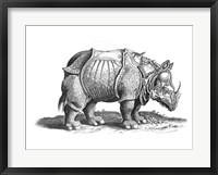 Rhinoceros Framed Print