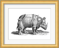 Rhinoceros Fine Art Print