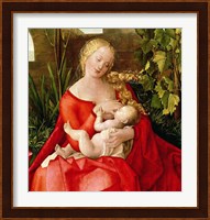 Virgin and Child 'Madonna with the Iris', 1508 - red dress Fine Art Print
