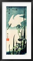White Heron and Iris Fine Art Print