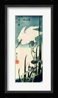 White Heron and Iris Fine Art Print