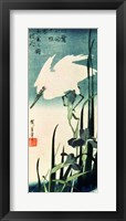 White Heron and Iris Fine Art Print