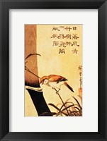 Bird and Bamboo Fine Art Print