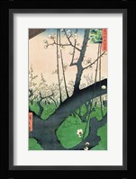 Branch of a Flowering Plum Tree Fine Art Print