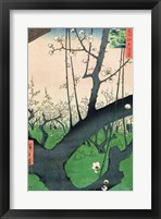 Branch of a Flowering Plum Tree Fine Art Print