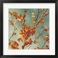 Orange Blossoms I Fine Art Print