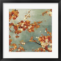 Orange Blossoms II Framed Print