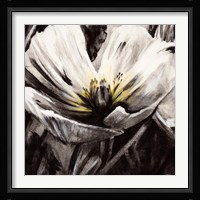 Light & Shadow Fine Art Print