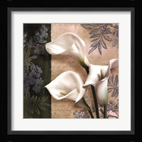 Lily Fair Framed Print