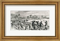 Labour in the Cotton Fields, Hoeing the Young Plants Fine Art Print