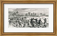 Labour in the Cotton Fields, Hoeing the Young Plants Fine Art Print