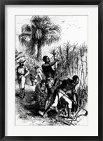 Slaves Working on a Plantation Fine Art Print