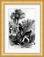 Slaves Working on a Plantation Fine Art Print