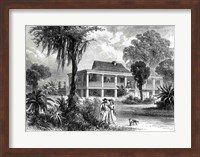 Planter's House on the Mississippi Fine Art Print