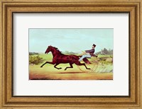 The Celebrated Horse Fine Art Print