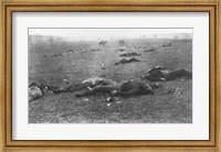 The Harvest of Death, Gettysburg, 1863 Fine Art Print