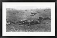 The Harvest of Death, Gettysburg, 1863 Fine Art Print