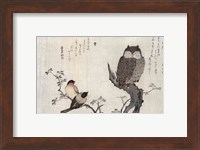 An Owl and two Eastern Bullfinches Fine Art Print