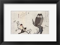 An Owl and two Eastern Bullfinches Fine Art Print