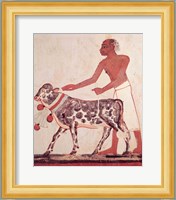 Peasant leading a cow to sacrifice Fine Art Print