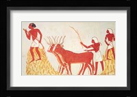 Using cows to trample wheat, from the Tomb of Menna Fine Art Print