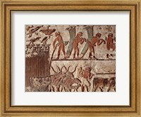 Harvesting papyrus and a group of cows, Old Kingdom Fine Art Print