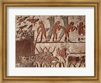 Harvesting papyrus and a group of cows, Old Kingdom Fine Art Print