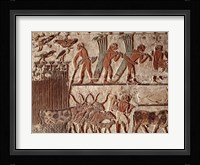 Harvesting papyrus and a group of cows, Old Kingdom Fine Art Print