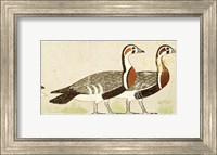 Geese, from the Tomb of Nefermaat and Atet, Old Kingdom Fine Art Print