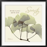 Serenity Gingko Fine Art Print