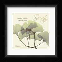 Serenity Gingko Framed Print