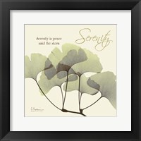 Serenity Gingko Fine Art Print