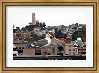 San Francisco Seen From the Bay Fine Art Print