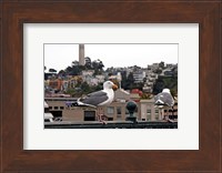 San Francisco Seen From the Bay Fine Art Print