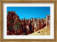 Scenic Shot from Bryce Canyon National Park Fine Art Print