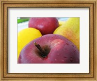 Closeup of an Apple, Lemon and Pear Fine Art Print